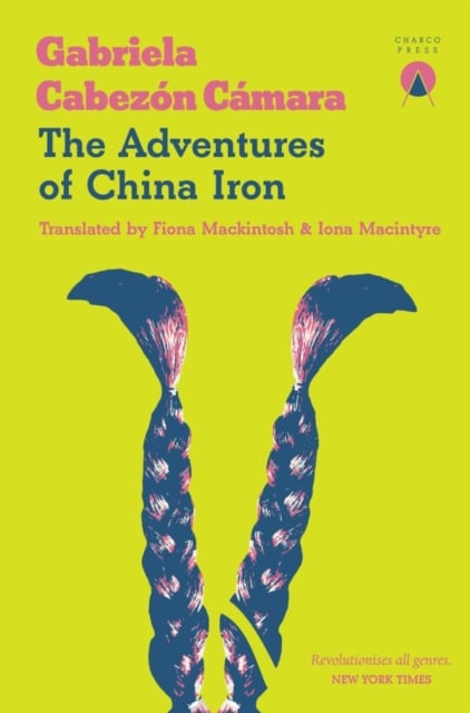 Book cover of The Adventures of China Iron