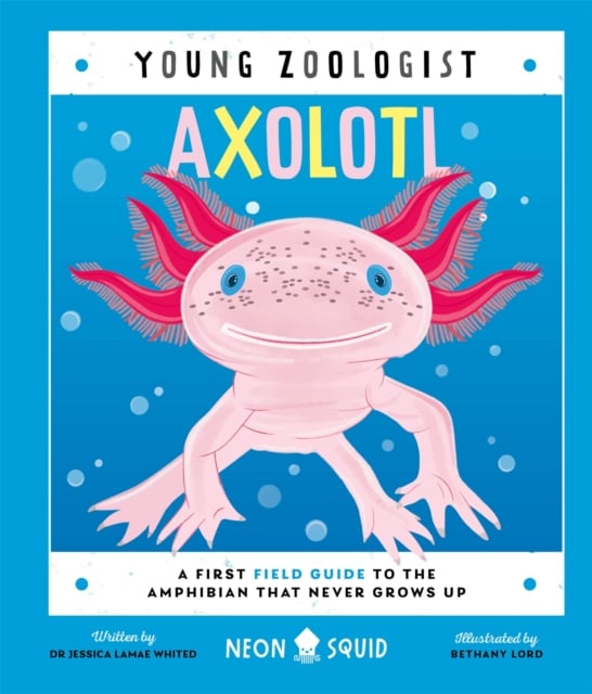 Book cover of Axolotl (Young Zoologist)