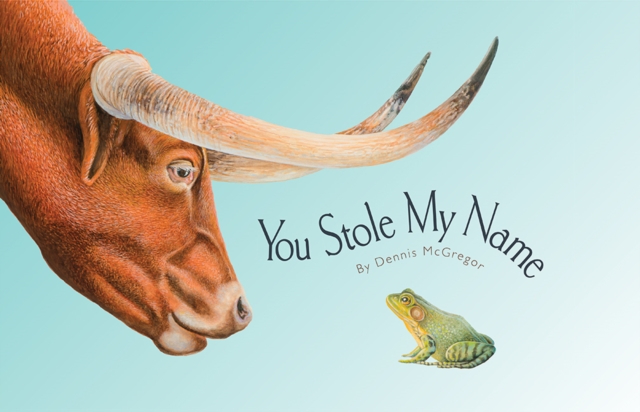 Book cover of You Stole My Name