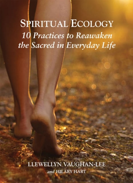 Book cover of Spiritual Ecology