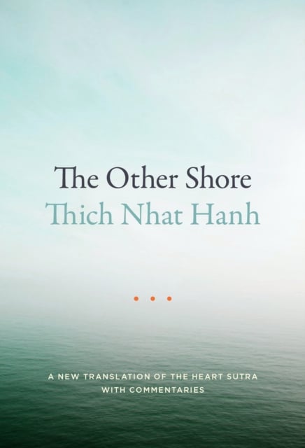 Book cover of The Other Shore