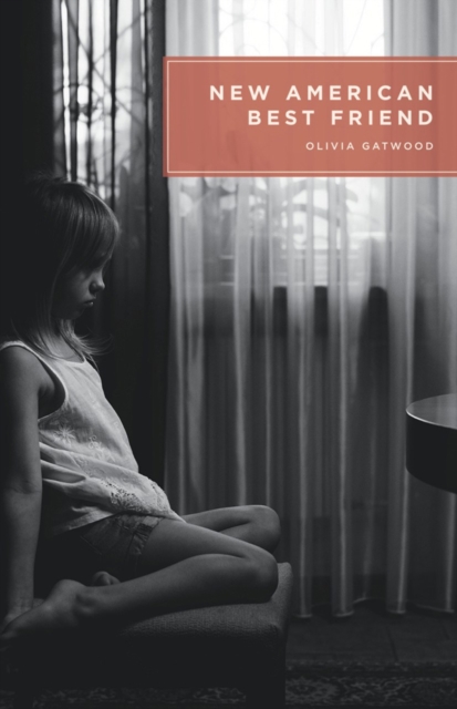 Book cover of New American Best Friend