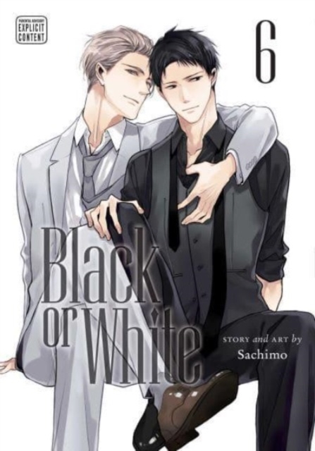 Book cover of Black or White, Vol. 6