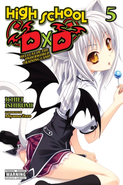 Book cover of High School DxD, Vol. 5 (light novel)