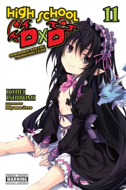 Book cover of High School DxD, Vol. 11 (light novel)