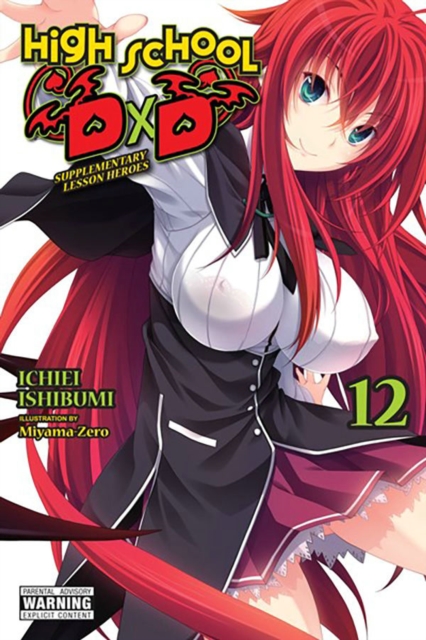 Book cover of High School DxD, Vol. 12 (light novel)