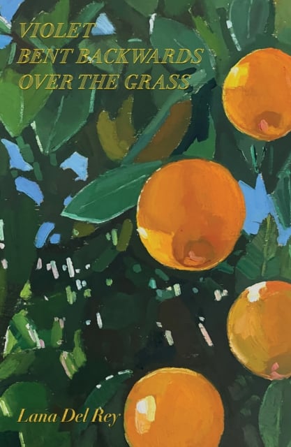 Book cover of Violet Bent Backwards Over the Grass