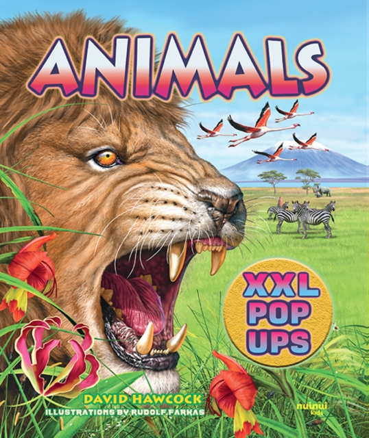 Book cover of Animals XXL pop-ups