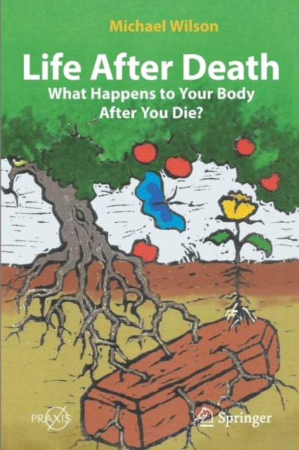 Book cover of Life After Death: What Happens to Your Body After You Die?