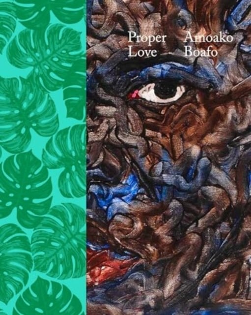 Book cover of Amoako Boafo