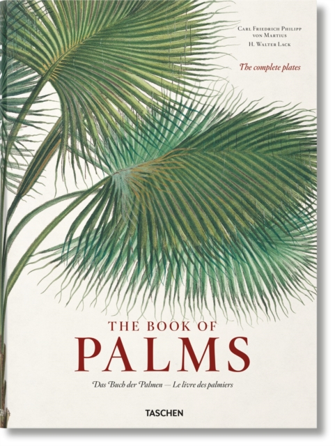 Book cover of Martius. The Book of Palms