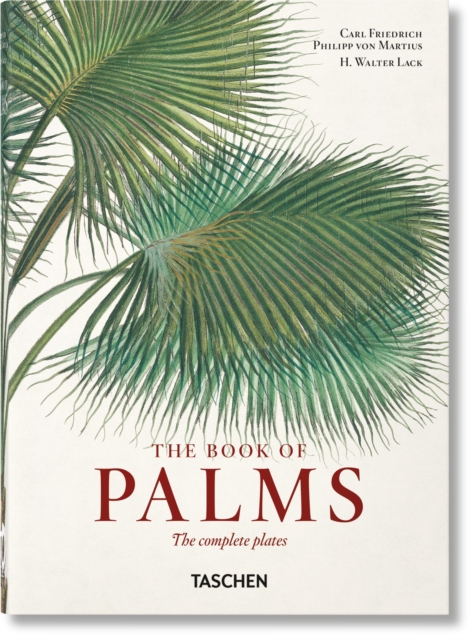 Book cover of Martius. The Book of Palms. 45th Ed.