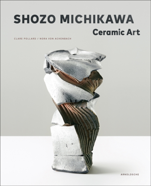 Book cover of Shozo Michikawa