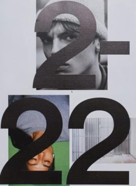Book cover of Wood Wood 2-22