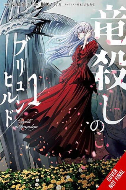 Book cover of Brunhild the Dragonslayer, Vol. 1 (manga)
