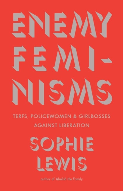 Book cover of Enemy Feminisms