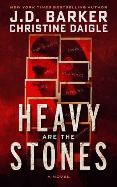 Book cover of Heavy Are The Stones